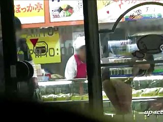 这个猫是让你暨的那种